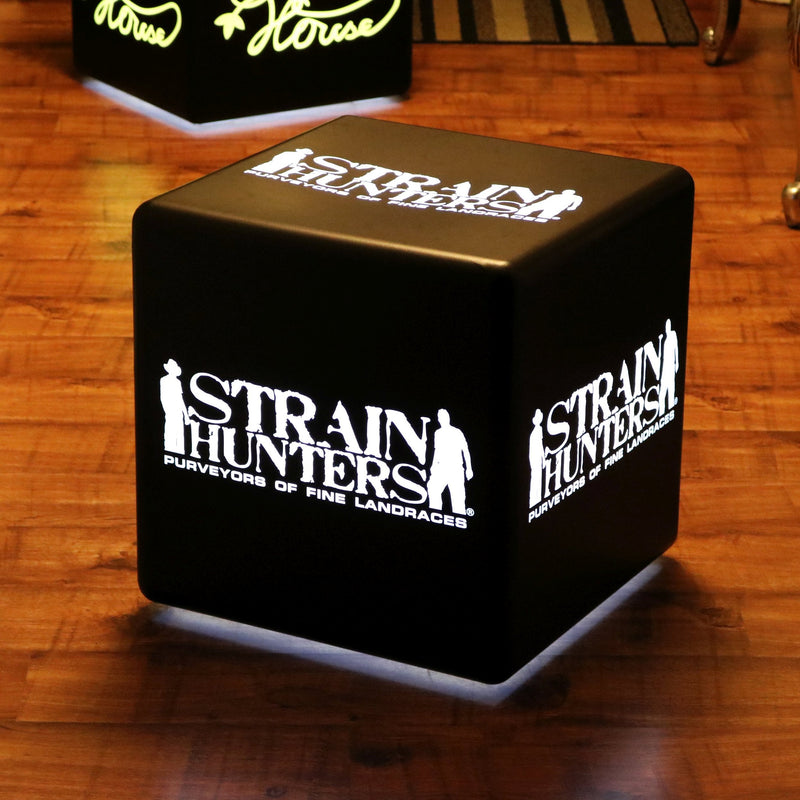 Customized Branded Seat Stool Table, Free Standing Light Box, Mains Powered Cube 40cm