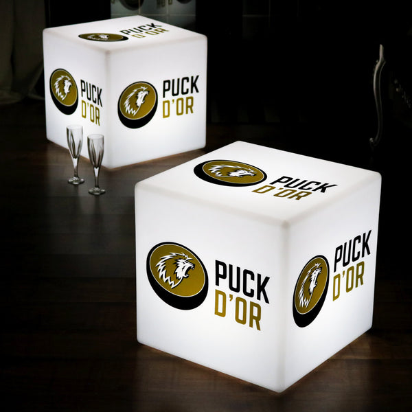 Customized Branded Furniture Seat Stool, LED Display Light Box Floor Lamp, Cube 50cm