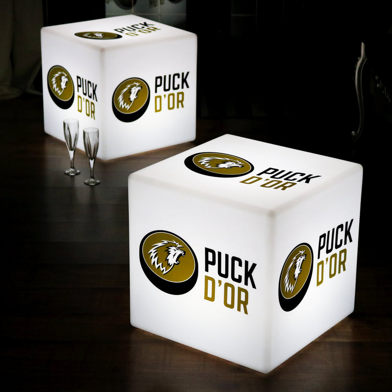 Personalized Freestanding Lightbox Sign with Logo, Illuminated Display Signage Cube Lamp